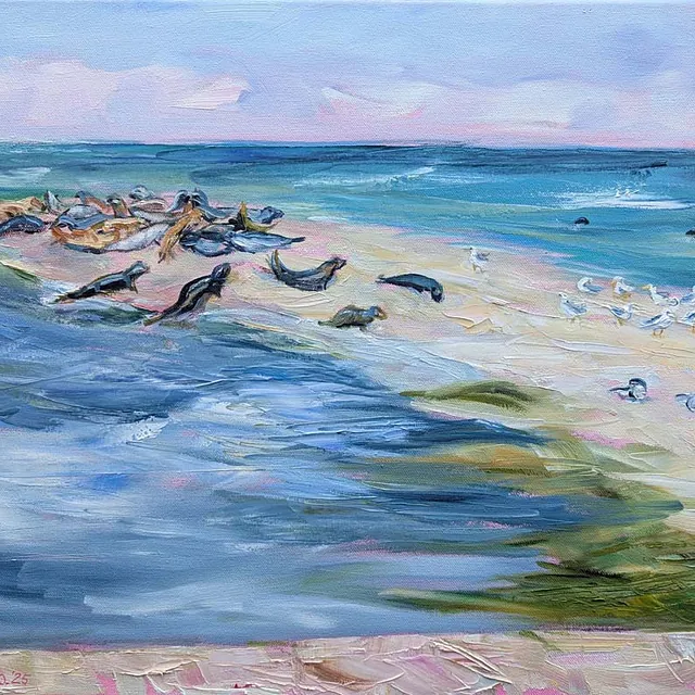 Auf der Oie - Robben und Seevögel, Öl auf Leinwand, 2025