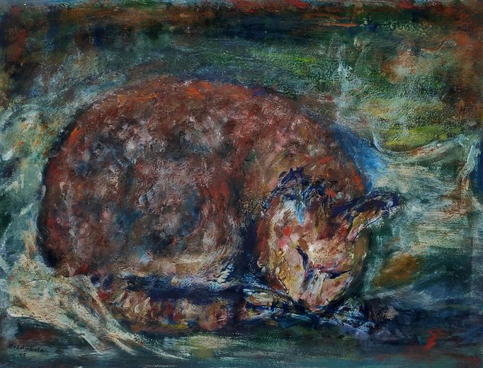 Schmiterlöw, Bertram von - Katze, Öl auf Hartfaser, um 1978, Maße 48x62cm